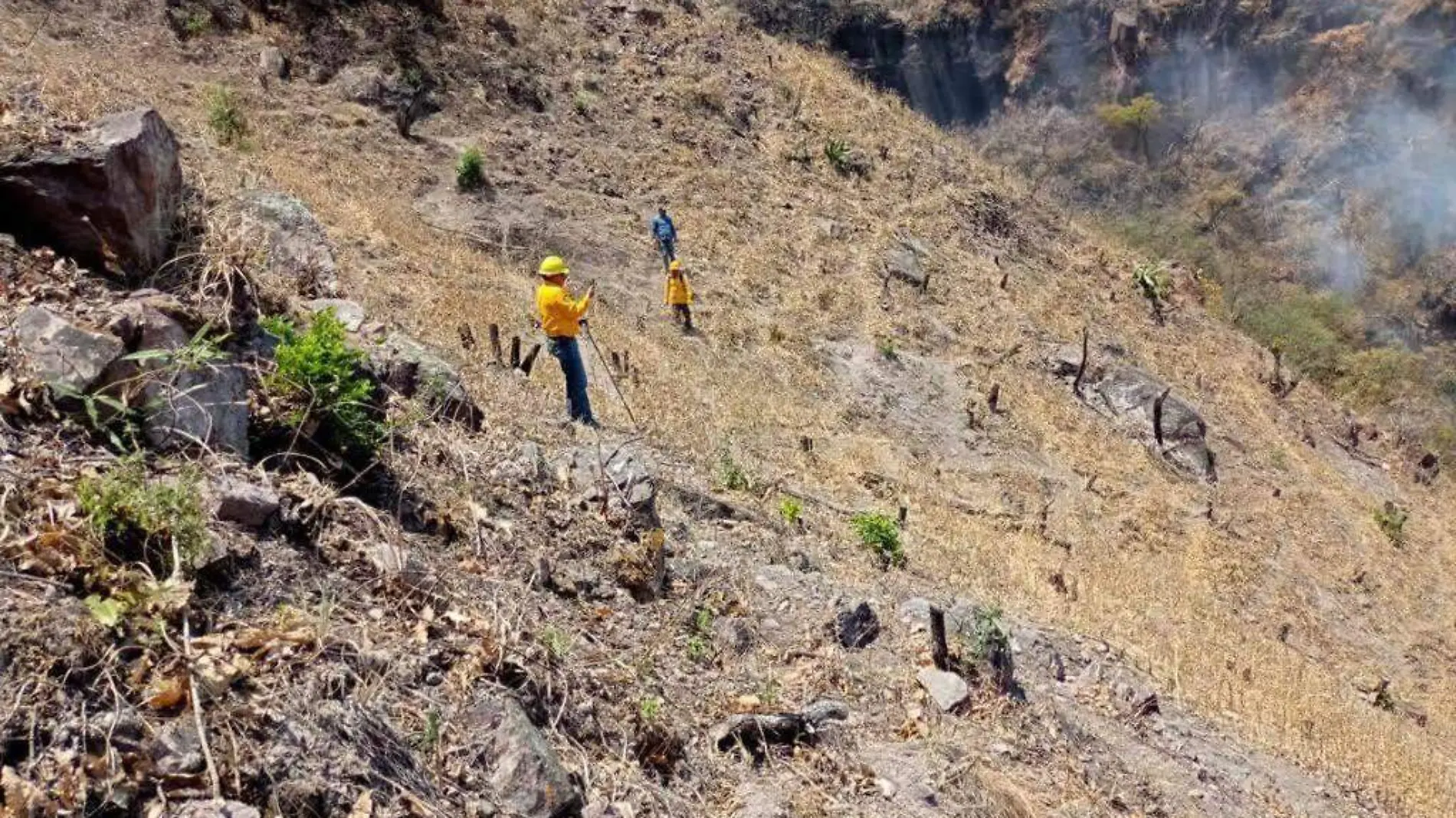 incendios conafor